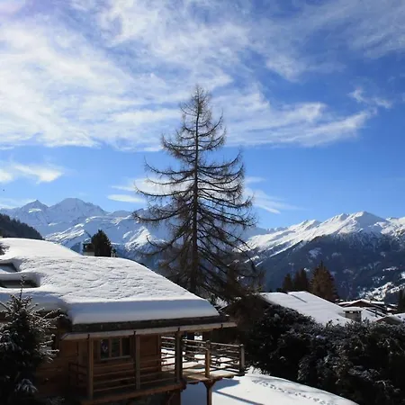 Alpehytte Petit Paradis Verbier